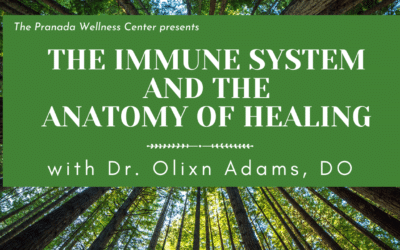 The Immune System and the Anatomy of Healing with Dr. Olixn Adams, DO