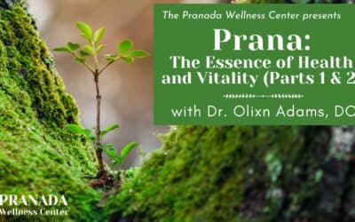 Prana: The Essence of Health and Vitality (Parts 1 & 2)