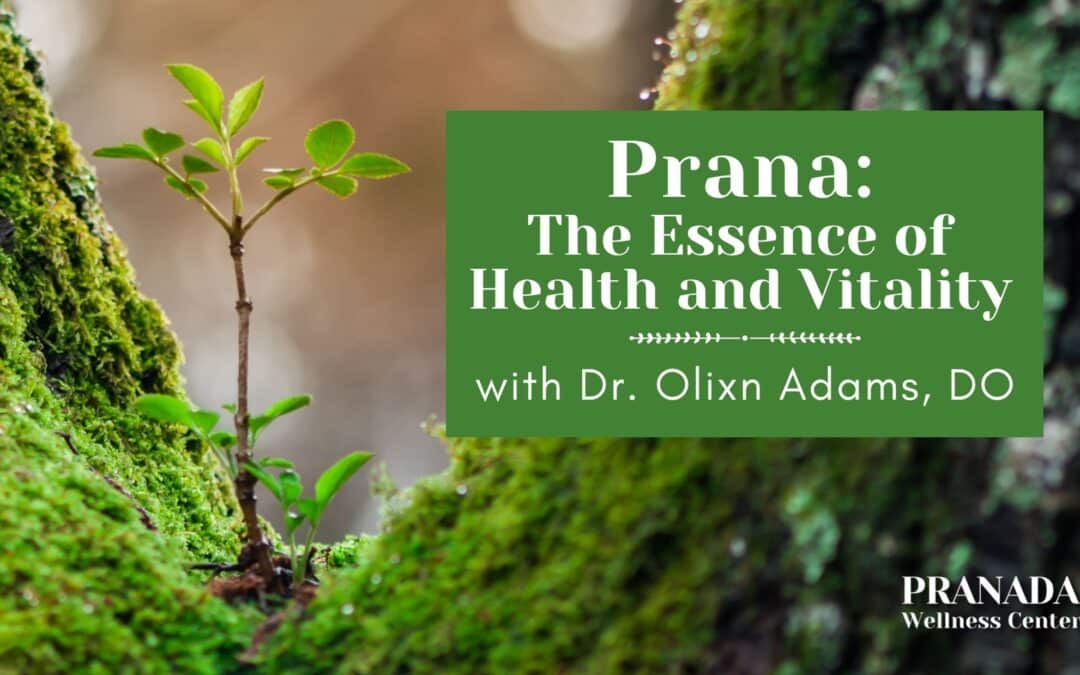 Prana: The Essence of Health and Vitality (Parts 1 & 2)