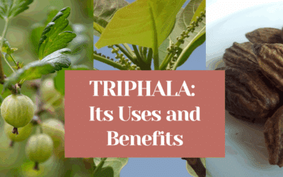 Triphala: Its Uses and Benefits