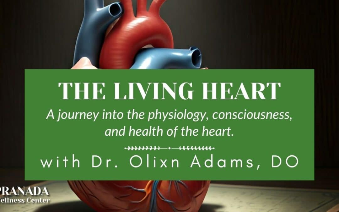 The Living Heart: A journey into the physiology, consciousness, and health of the heart – with Dr. Olixn Adams