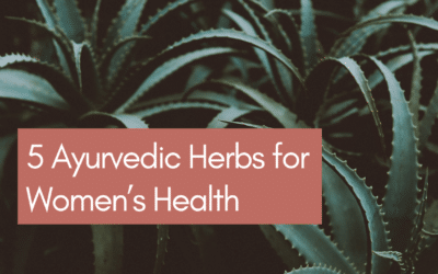 5 Ayurvedic Herbs for Women’s Health