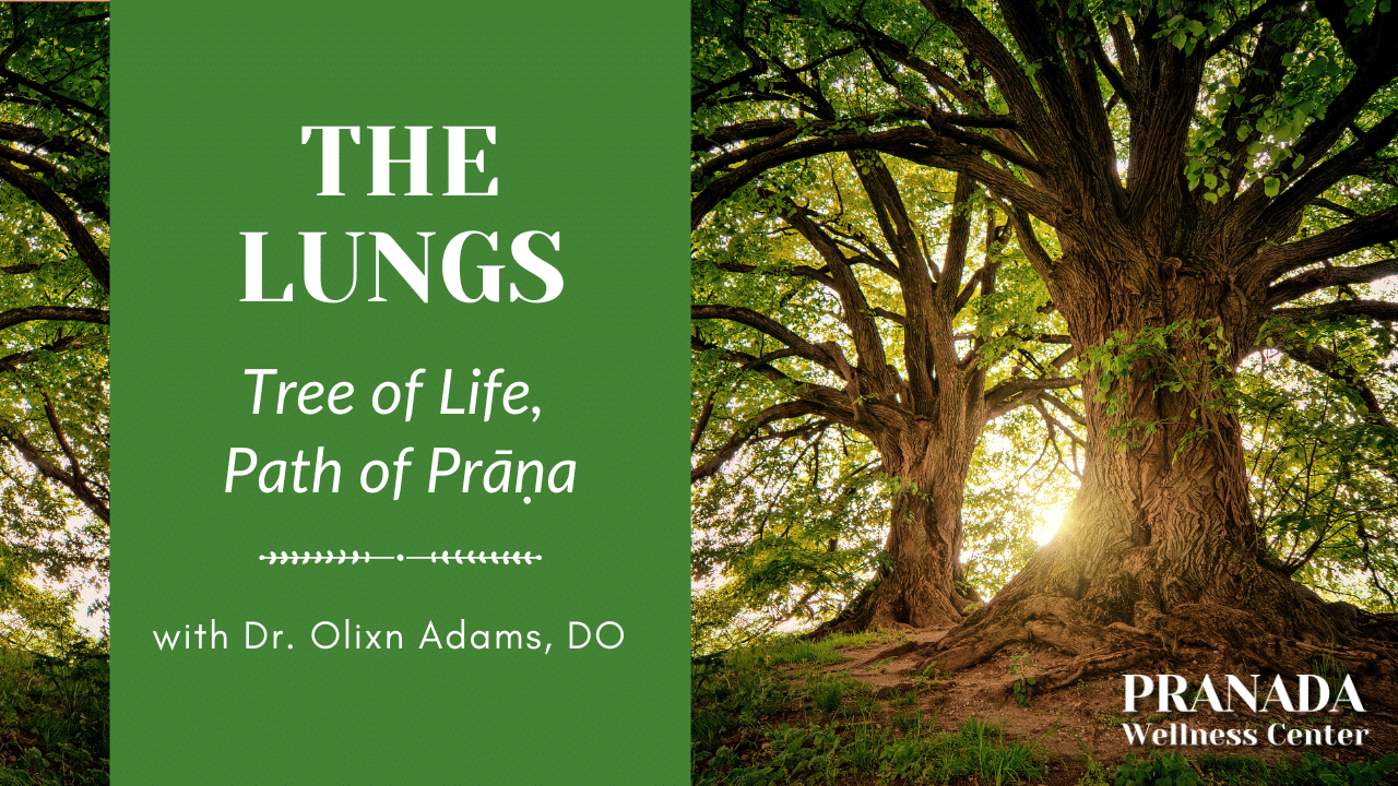 Prana - The Essence of Health and Vitality (Part 2)